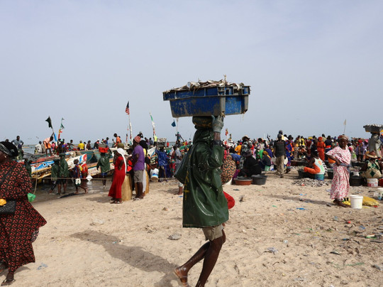 Sogui  tours senegal-达喀尔必去景点