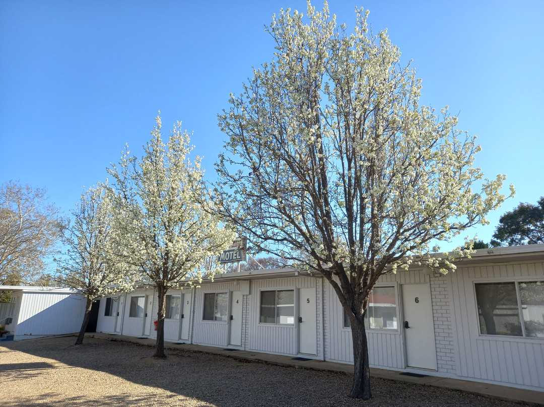 Cedar Lodge Motel主图