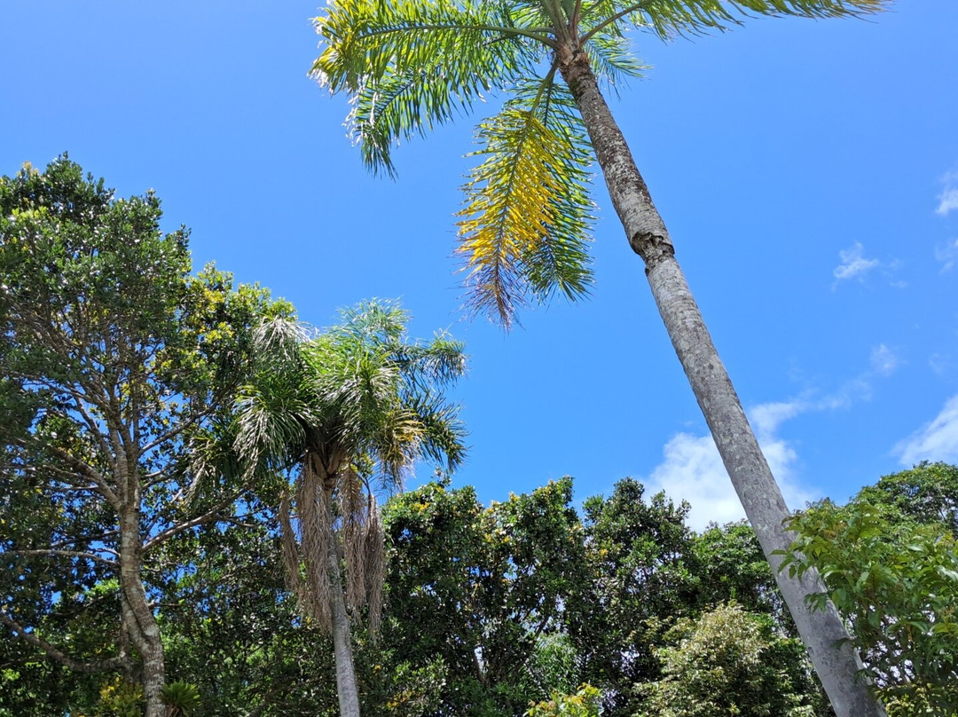 Ervino Beach-Sao Francisco do Sul必去景点