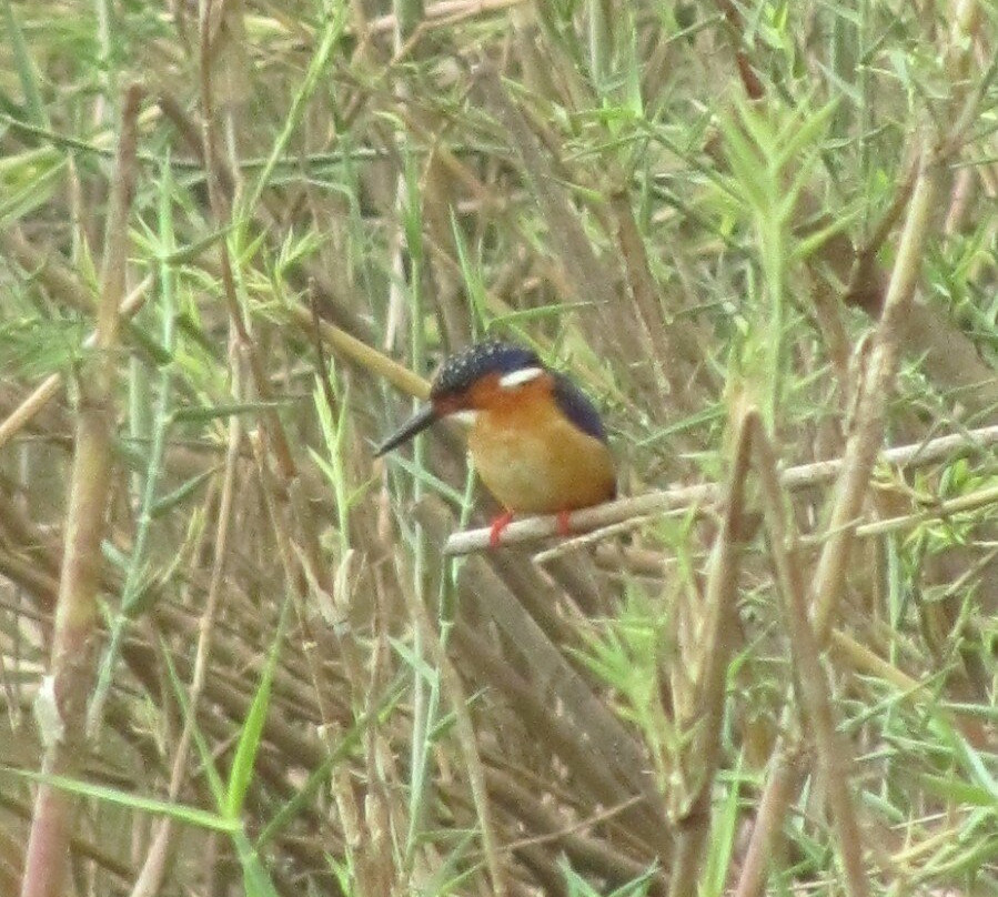 Lac Andraikiba景点图片