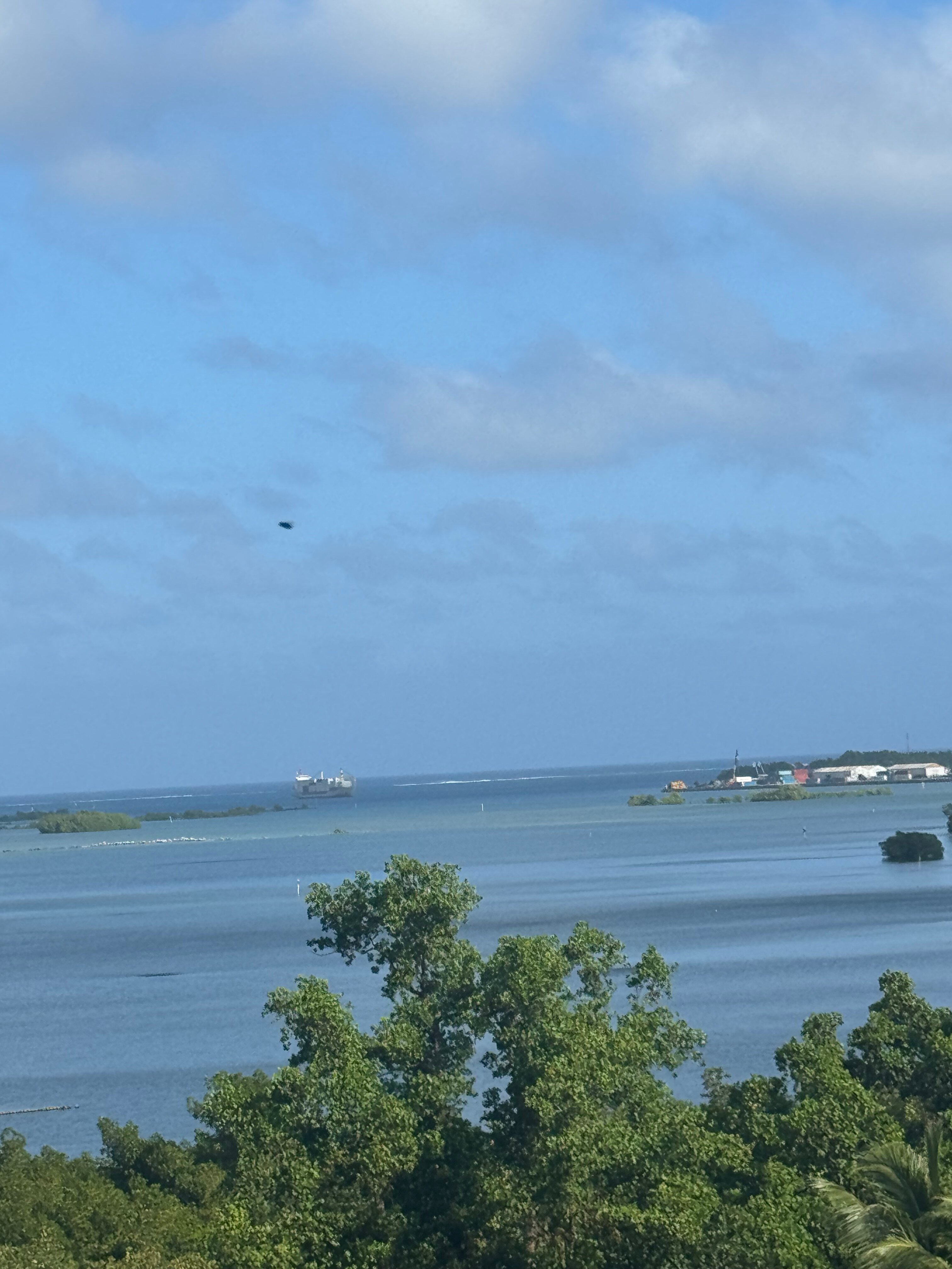 Mangrove Bay Hotel-官方