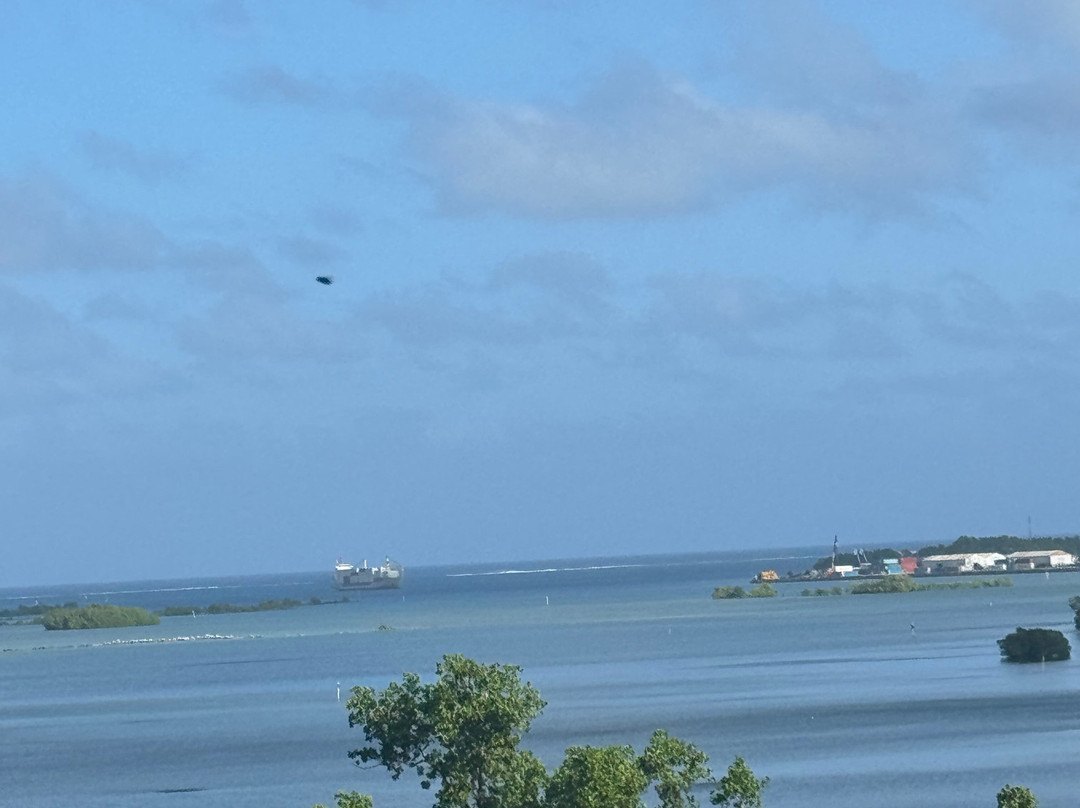 Mangrove Bay Hotel主图