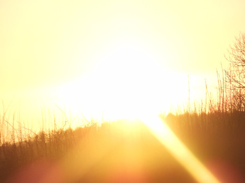 Lyme Regis Brewery-莱姆里杰斯必去景点