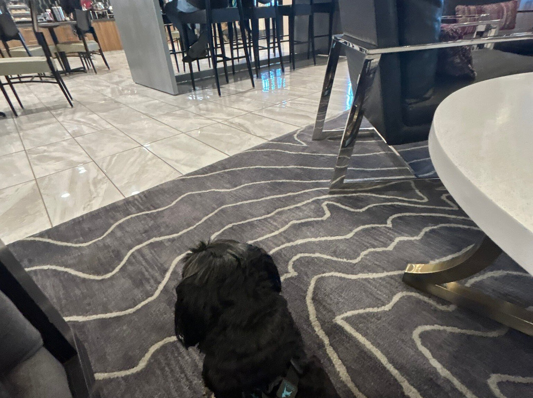 Best Western Plus Coalinga Inn主图