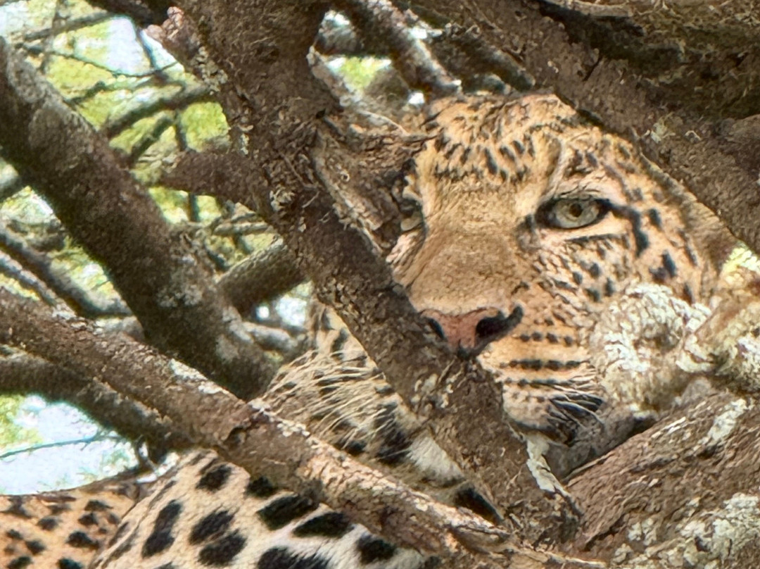 Gorilla and Adventure Safaris-Wakiso必去景点