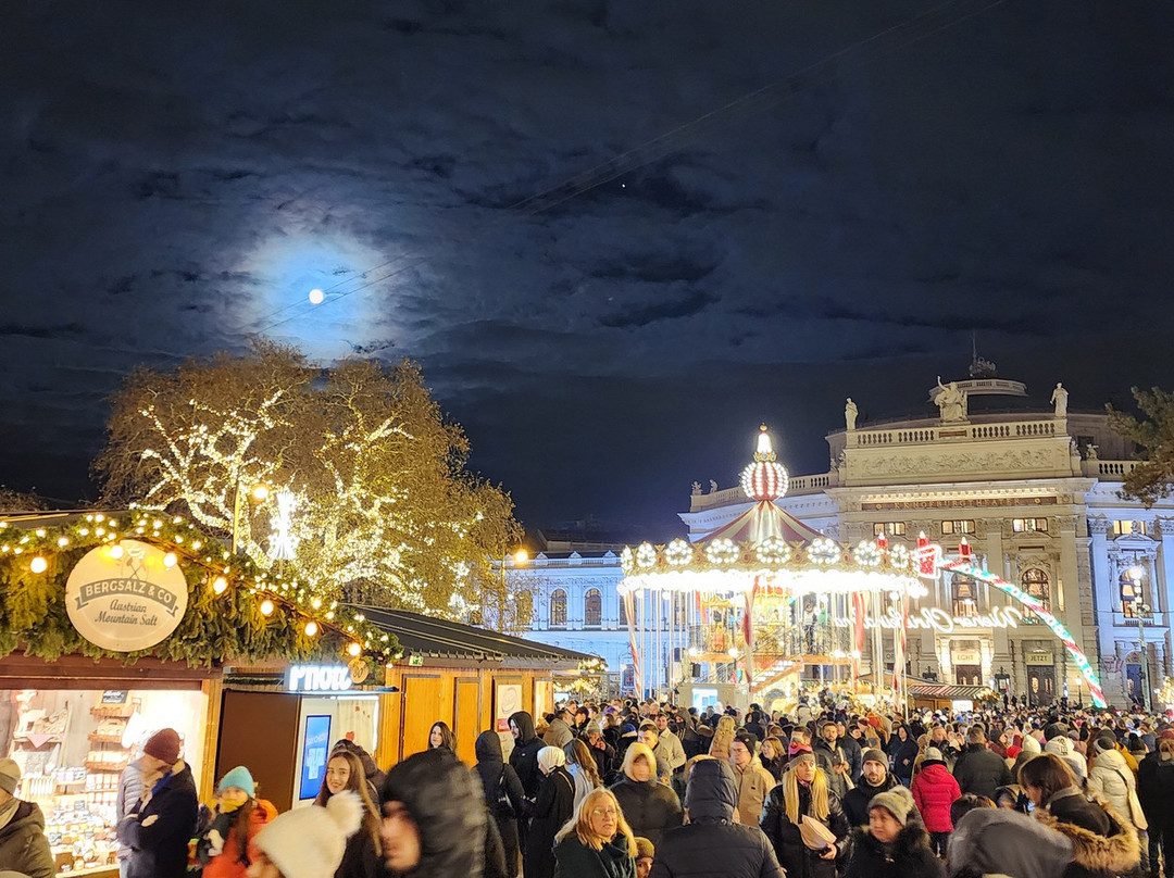 Wiener Christkindlmarkt-维也纳必去景点