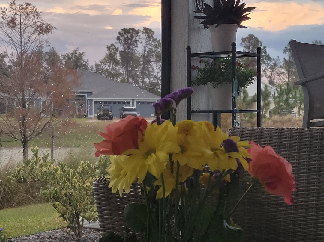 Brownwood Paddock Square-群村必去景点