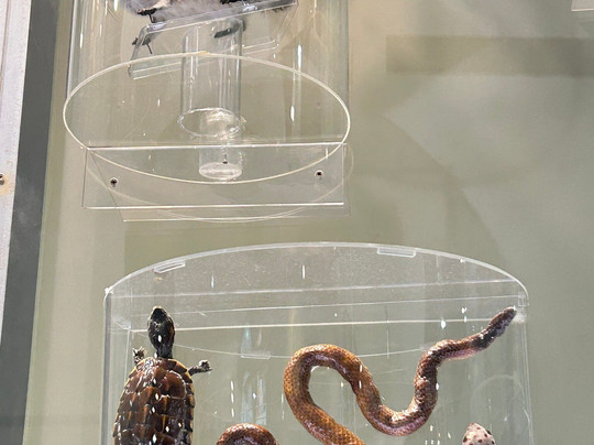 曼谷科学馆和天文馆-曼谷必去景点