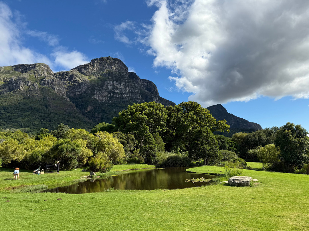 Into Africa life changing experiences-Seronera必去景点