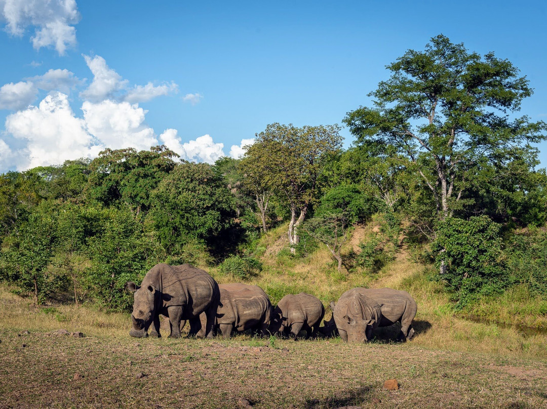 Kingdom Expeditions Africa-李文斯顿必去景点