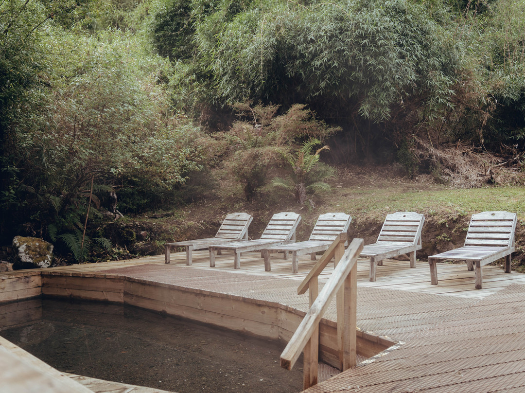 Termas De Pichicolo-Hornopiren必去景点