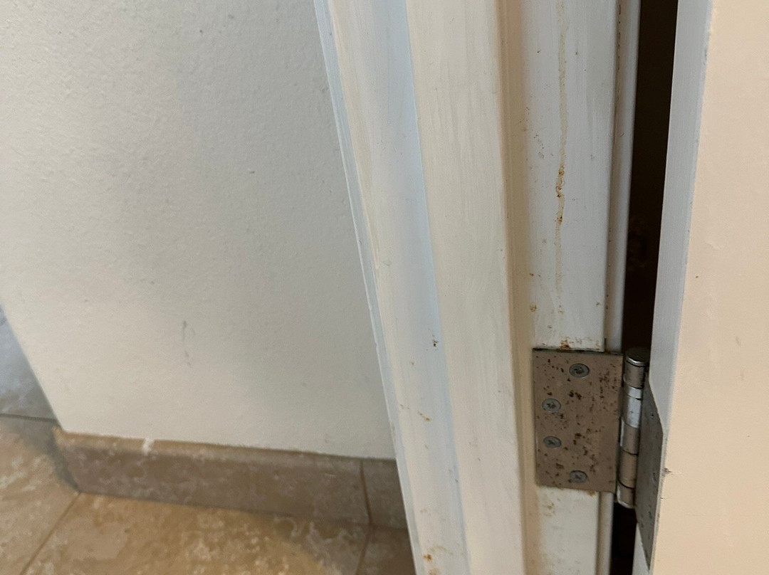 La Quinta Inn & Suites by Wyndham Alvin主图