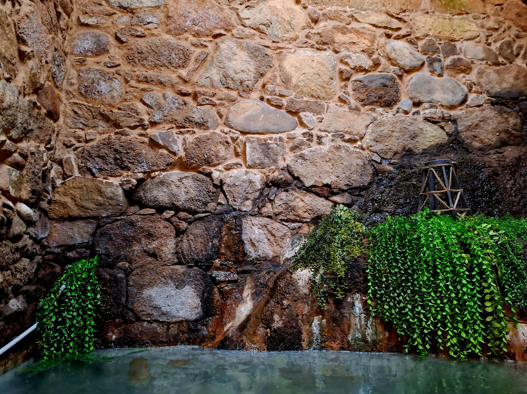 The Caldanelle Baths景点图片