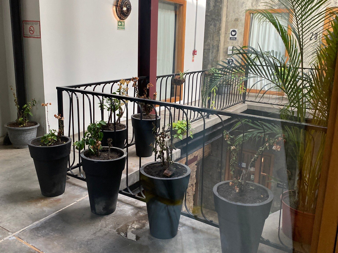 Hotel Casa Panama主图