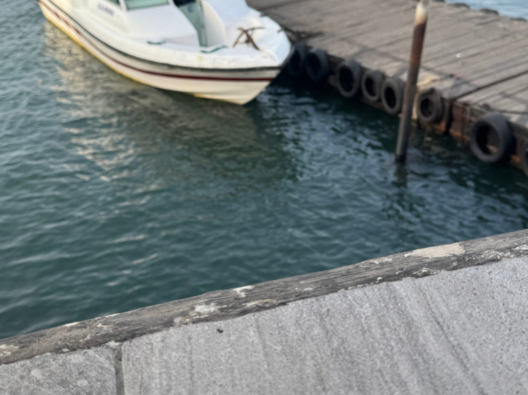 Sea Coach Express-弗里敦必去景点