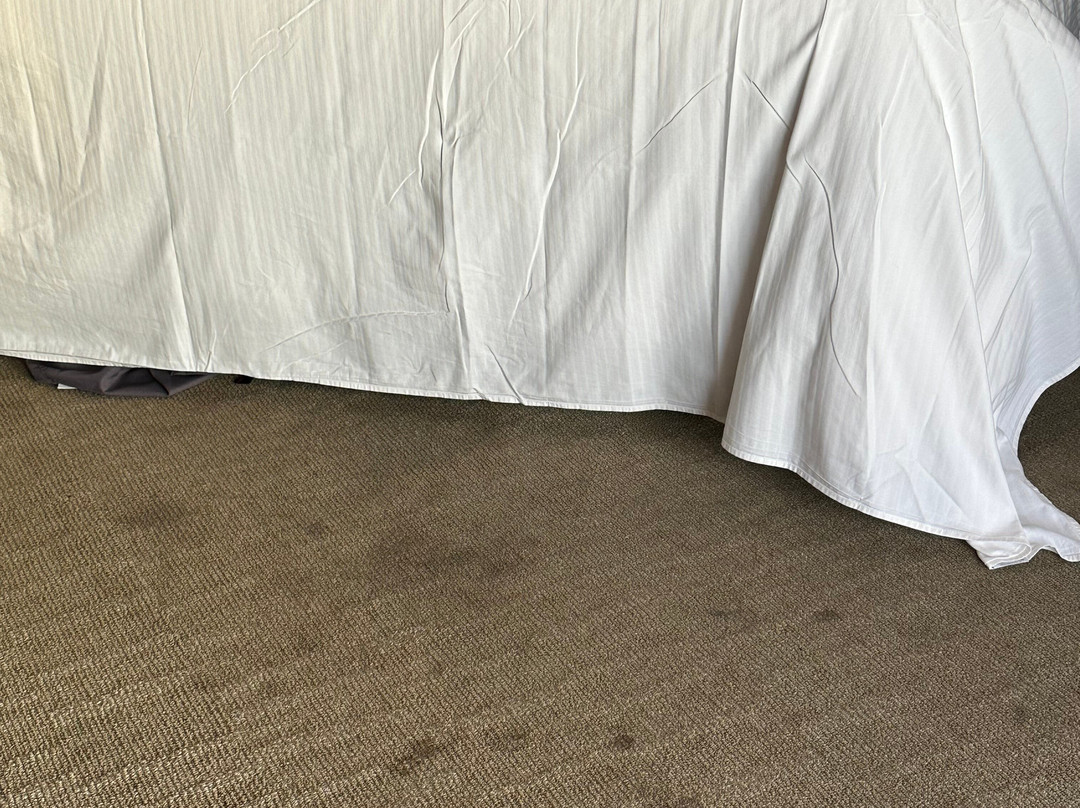 Enjoy Antofagasta主图