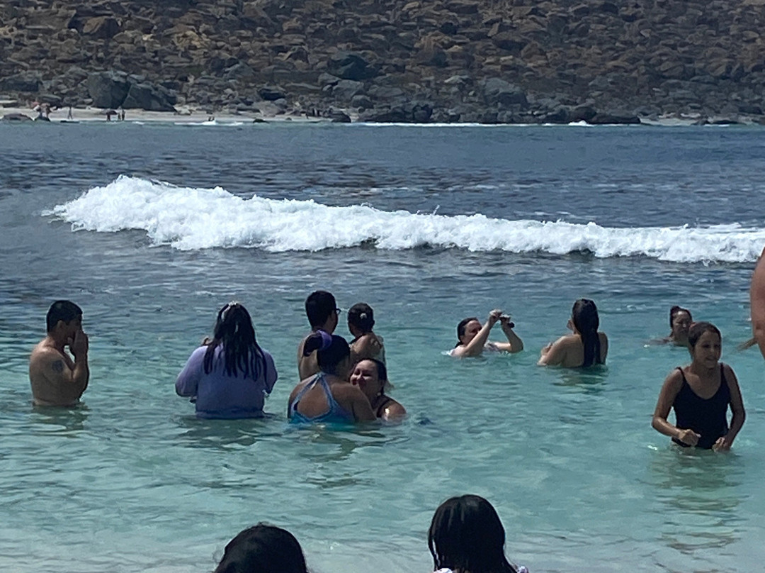 Playa Totoralillo-Coquimbo必去景点