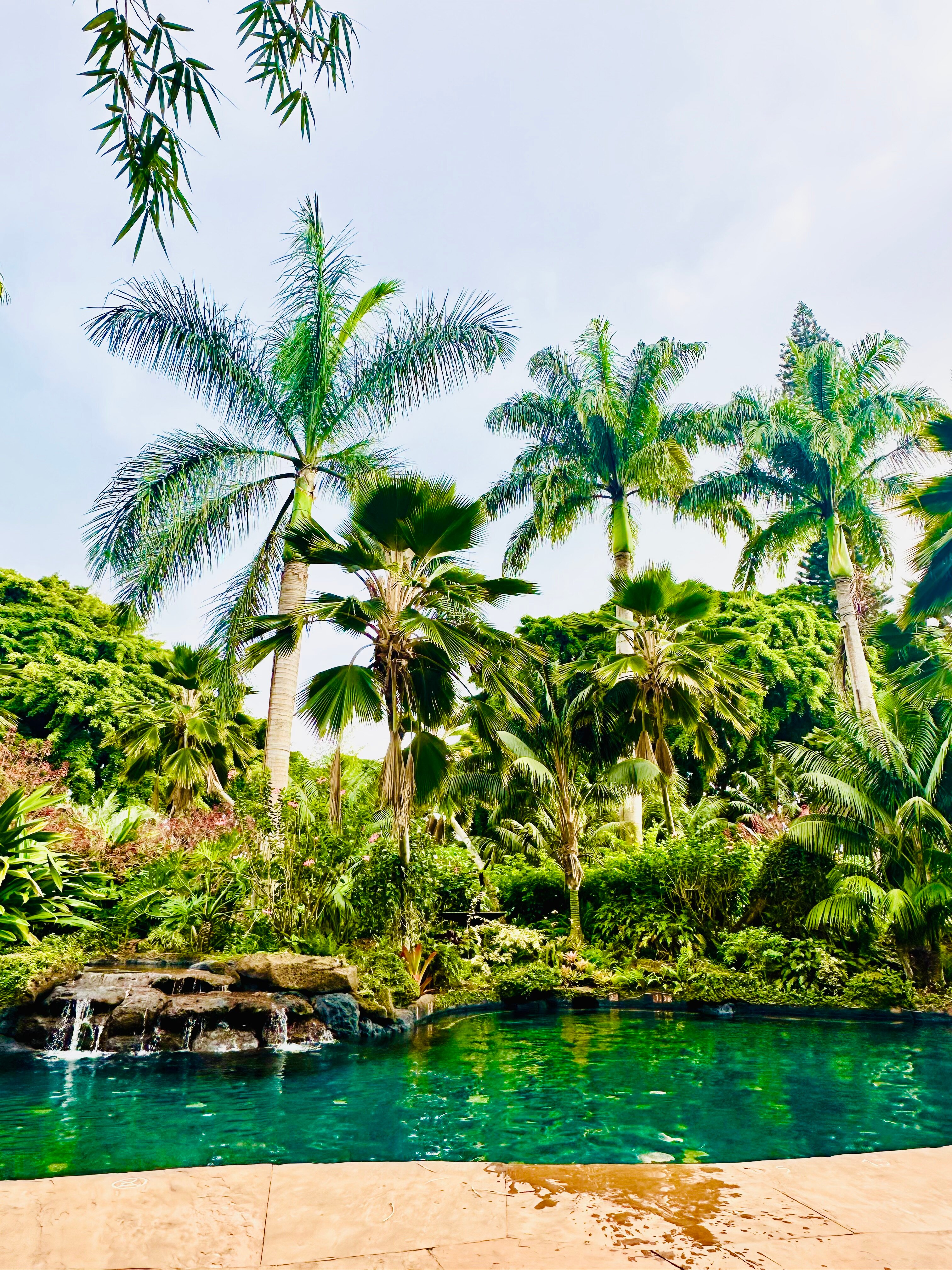 Sensei Lanai, A Four Seasons Resort-泳池