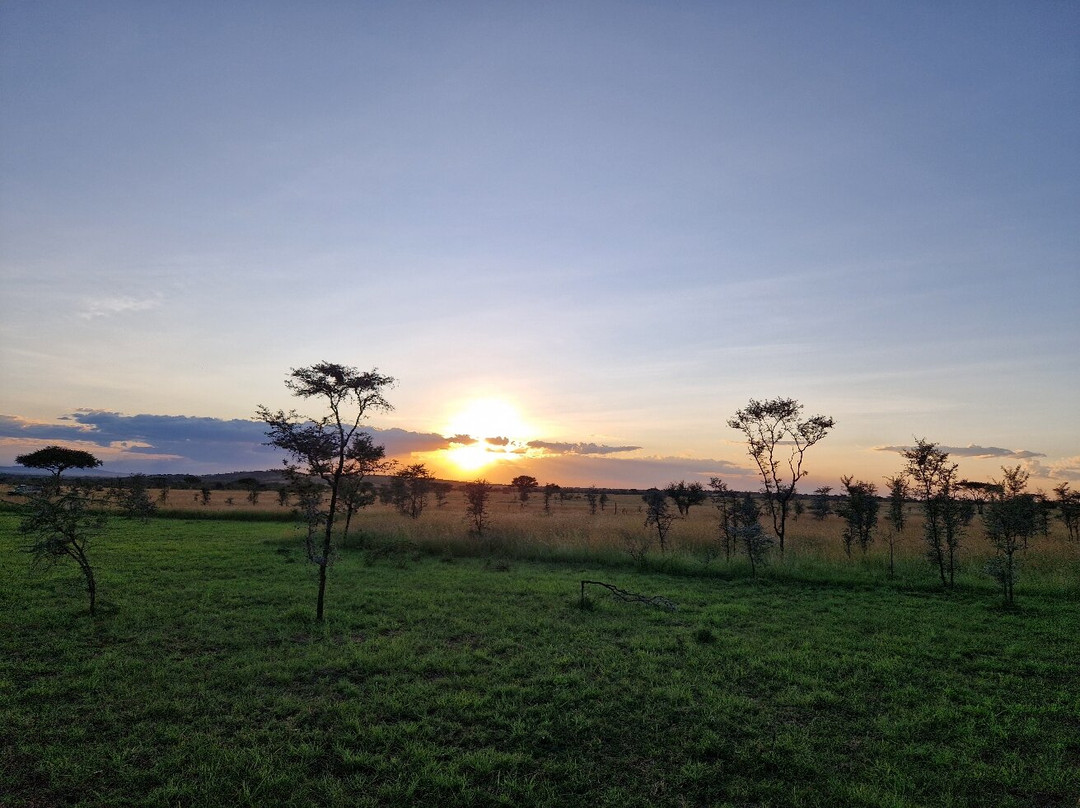 Glimpse of Africa Tented Camp-Ikoma必去景点