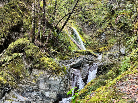 Mt Crichton Loop Track-皇后镇必去景点
