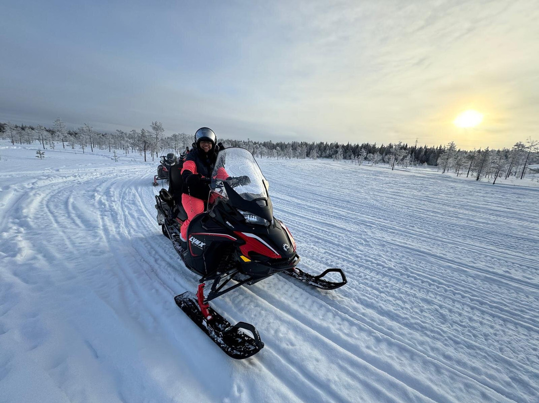 Sunny Safari-罗瓦涅米必去景点