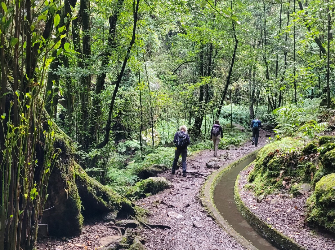 Levada Do Reí-Sao Jorge必去景点