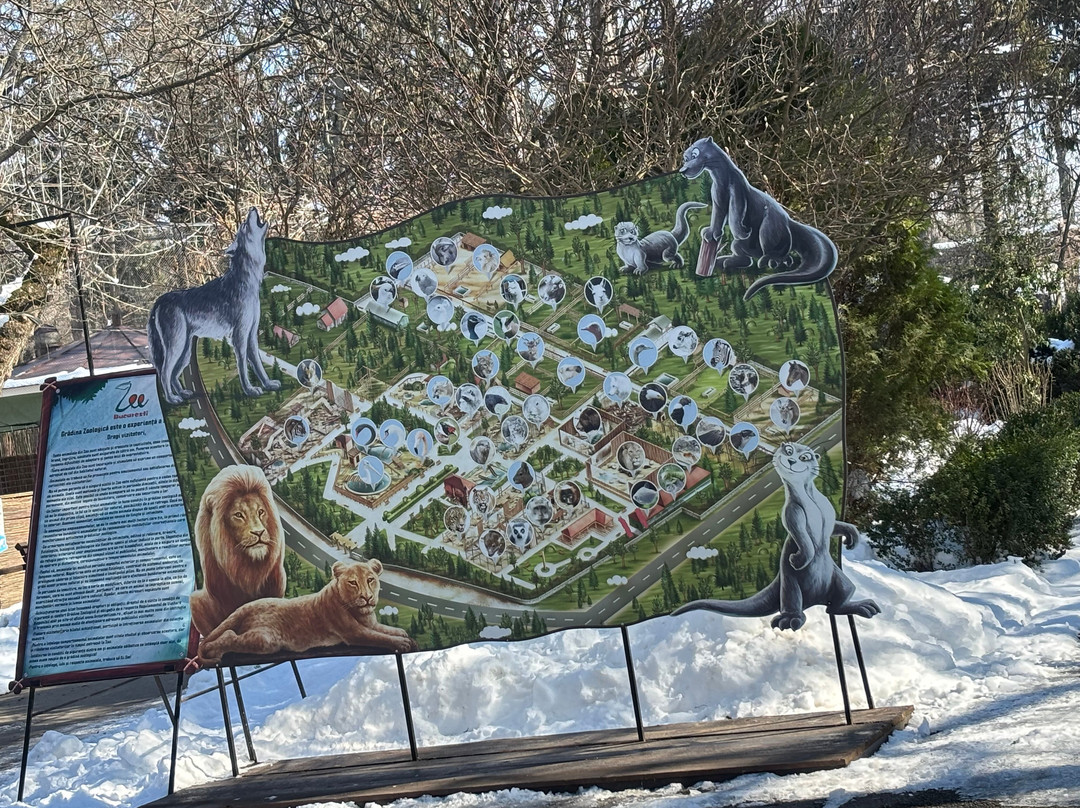Bucharest Zoo景点图片