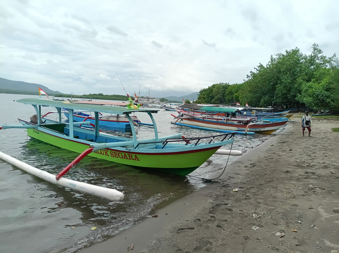 Sari Dive & Cottage景点图片