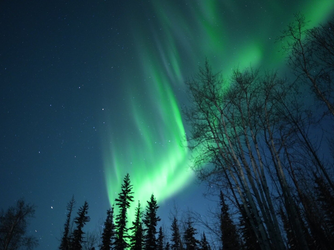 Alaska Aurora Adventures-费尔班克斯必去景点