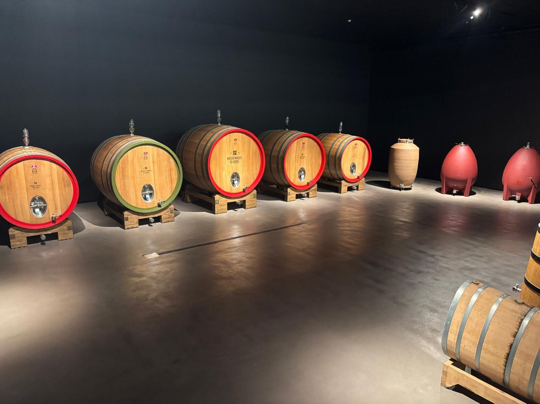 Bodegas Marqués De Cáceres-Cenicero必去景点