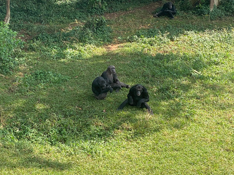Nandi Adventures-坎帕拉必去景点