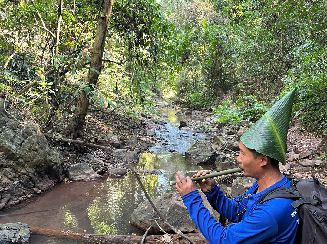 Into the Wild Laos-琅南塔必去景点