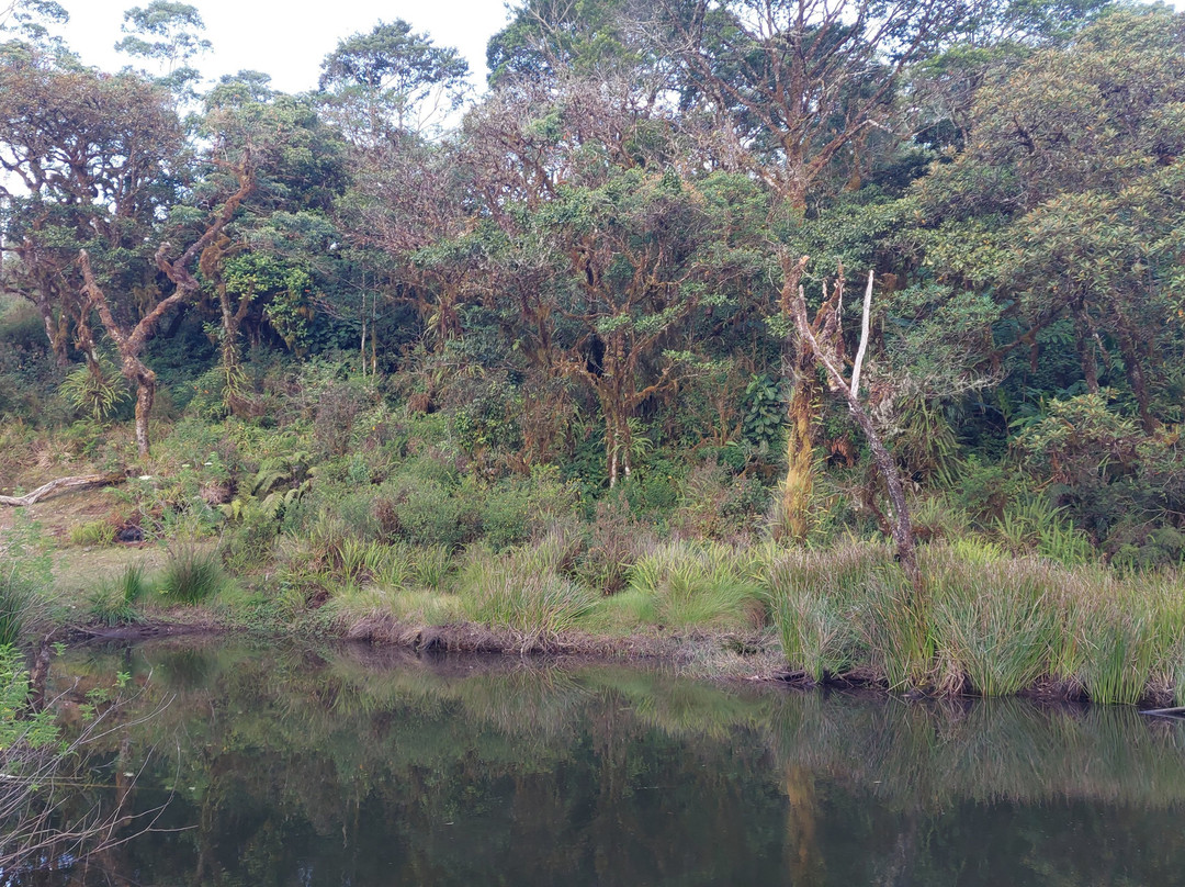 Lembah Ramma景点图片