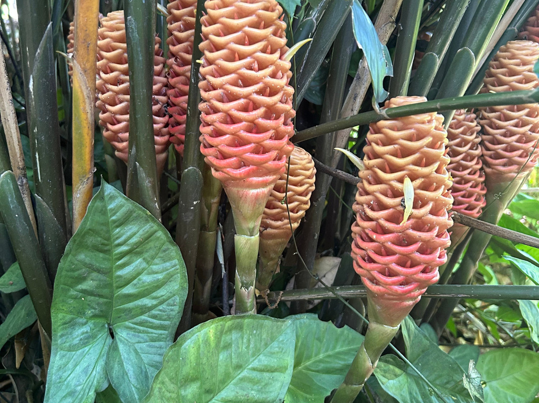 Hotel Brillasol Airport主图