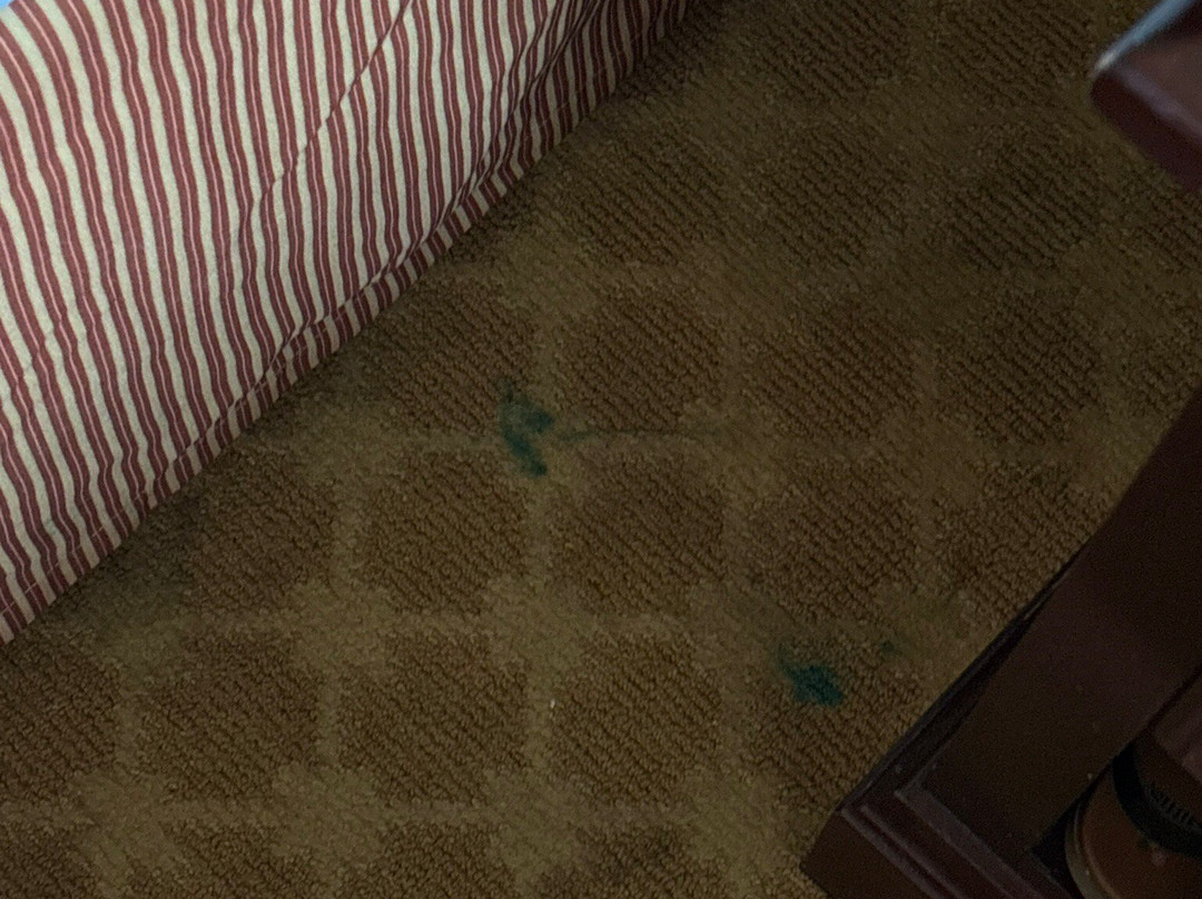 Country Inn & Suites by Radisson, Pineville, LA主图