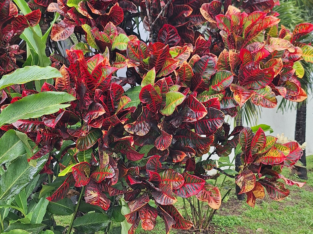 Karambole Tours-圣吕斯必去景点