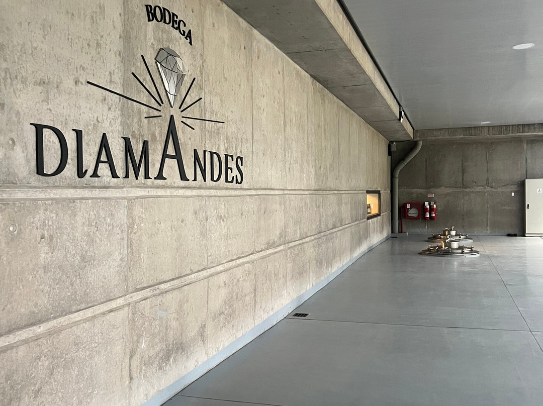 Bodega DiamAndes景点图片