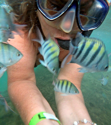 Porto Adventure-嘎林海斯港必去景点