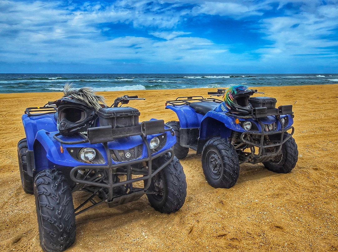 Quad Bike King景点图片