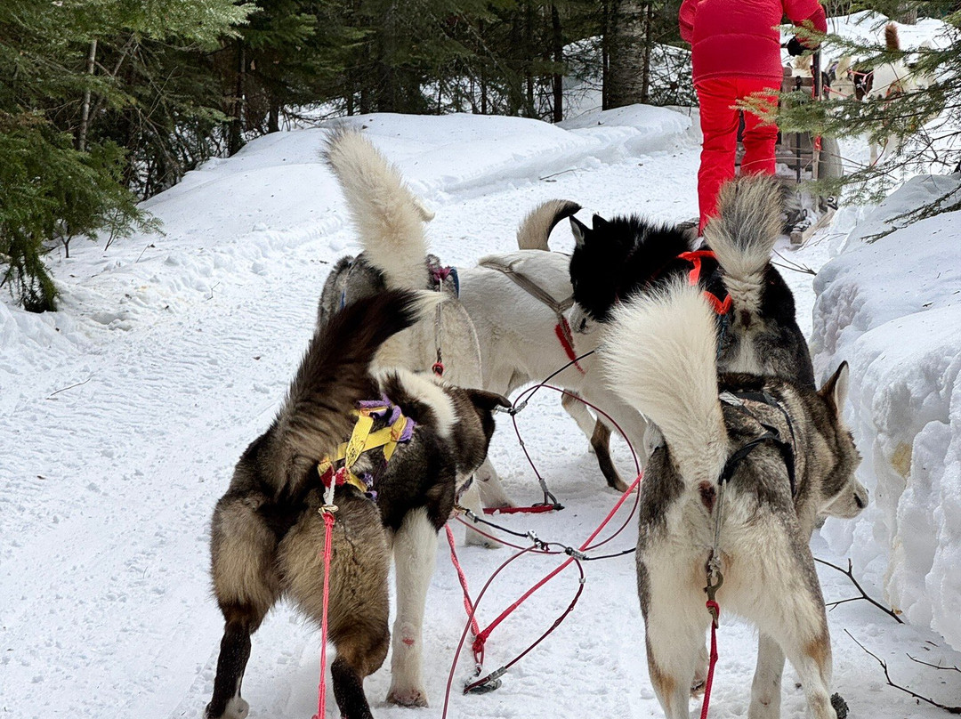 Le Chenil du Sportif-Charlevoix必去景点