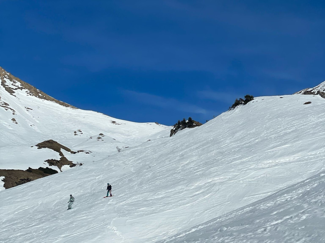 MINT Snowboarding景点图片