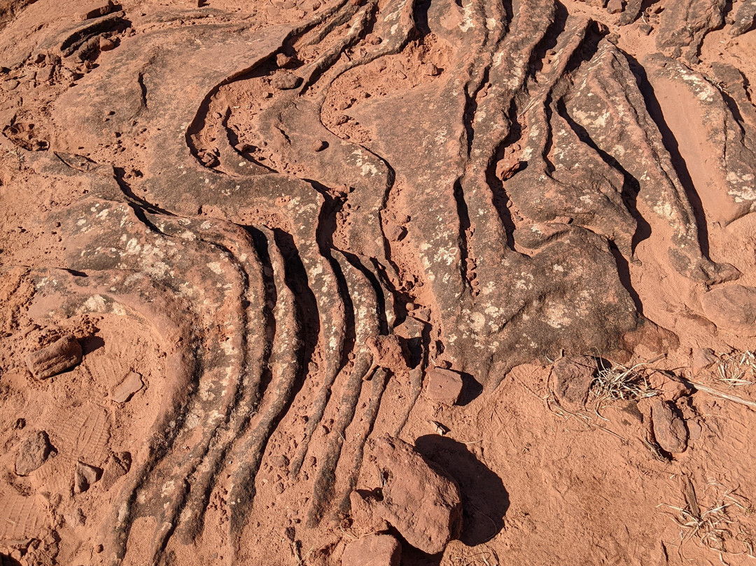 Copper Breaks State Park-Quanah必去景点