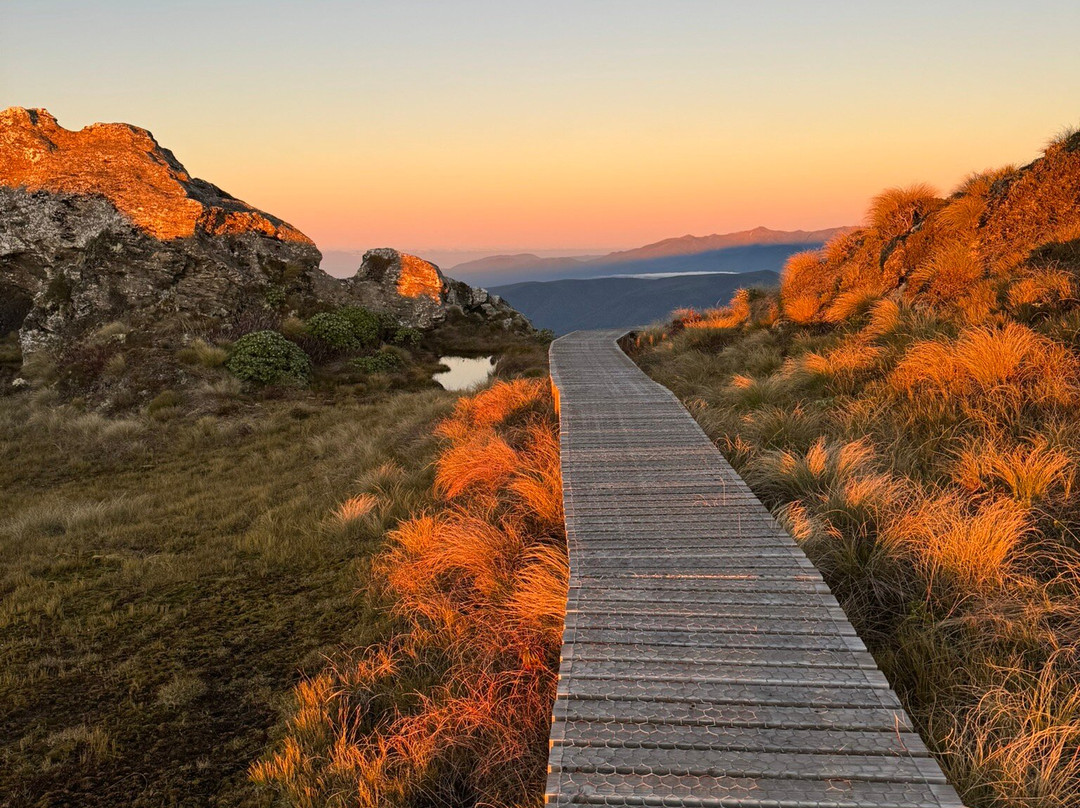Hump Ridge Track景点图片