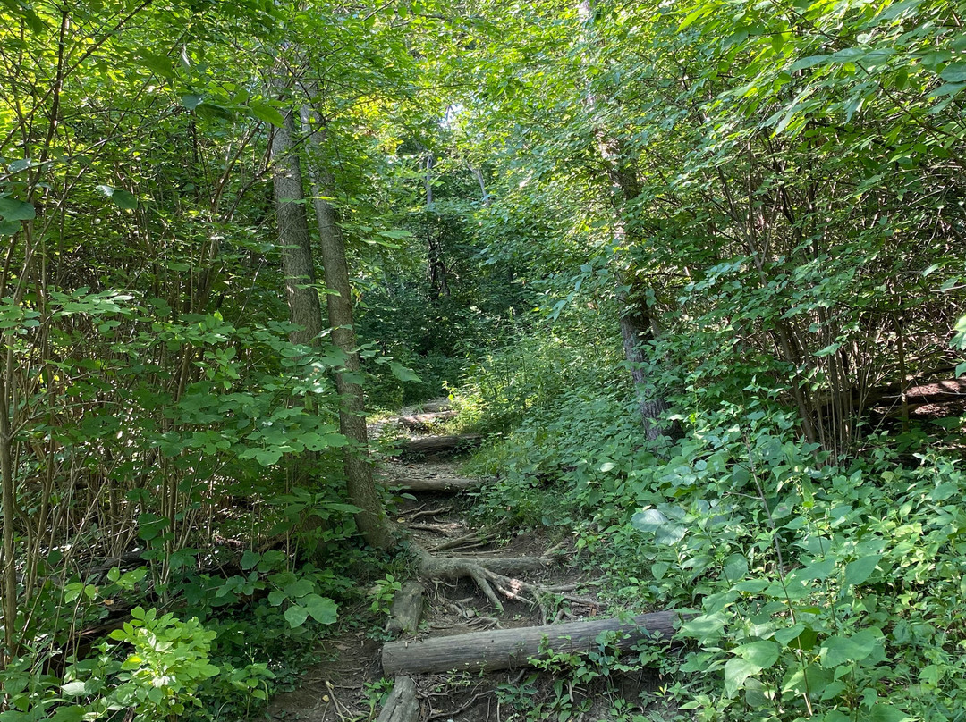 Ault Park-辛辛那提必去景点