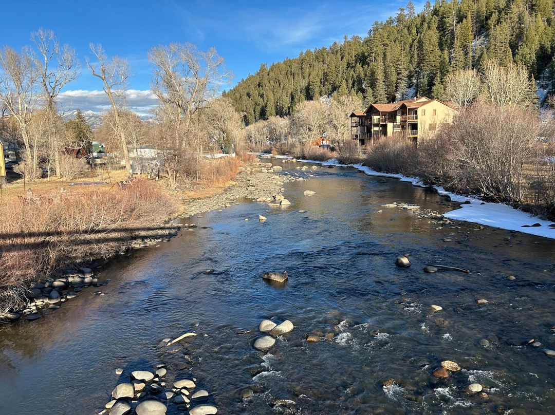 The Nightingale Motel主图