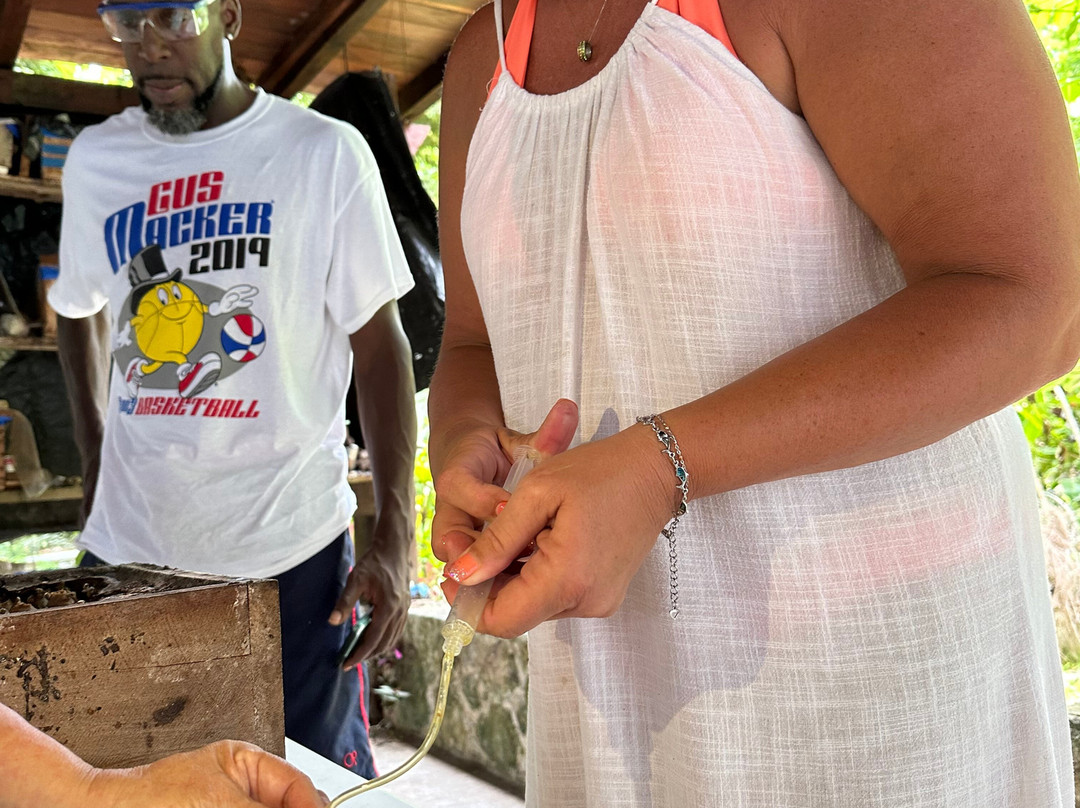 Mayan Bees Experience-Xul-Ha必去景点