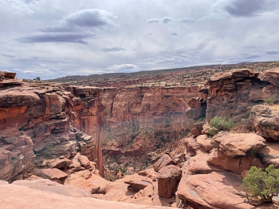 Rope Swing Moab-莫阿布必去景点