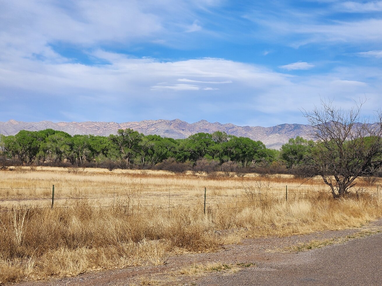 Casa de San Pedro-官方