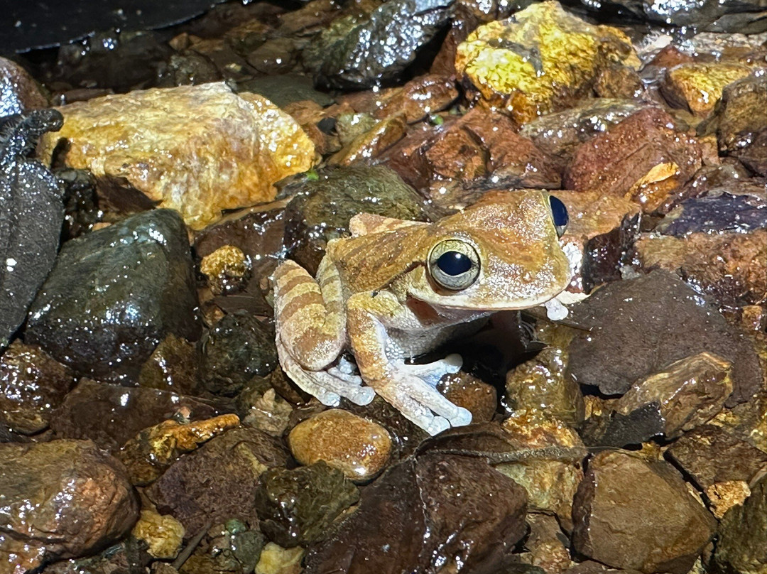 Sukia Travel-德雷克湾必去景点
