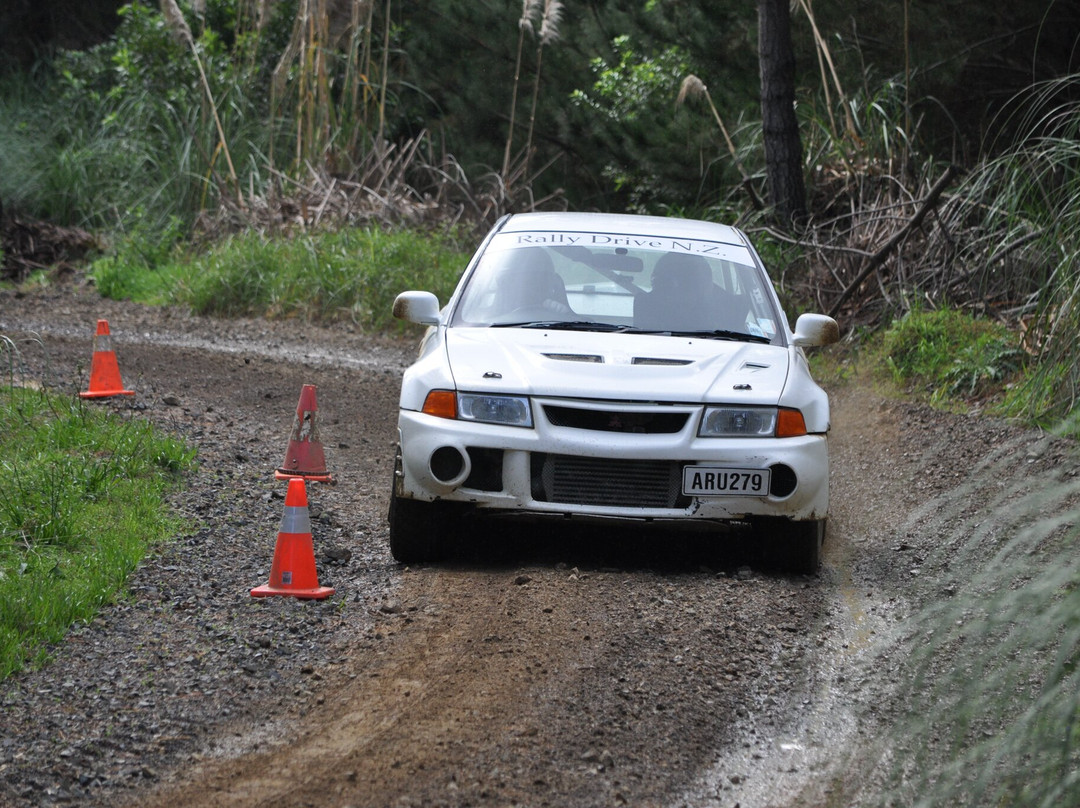 Rally Drive NZ-汉密尔顿必去景点